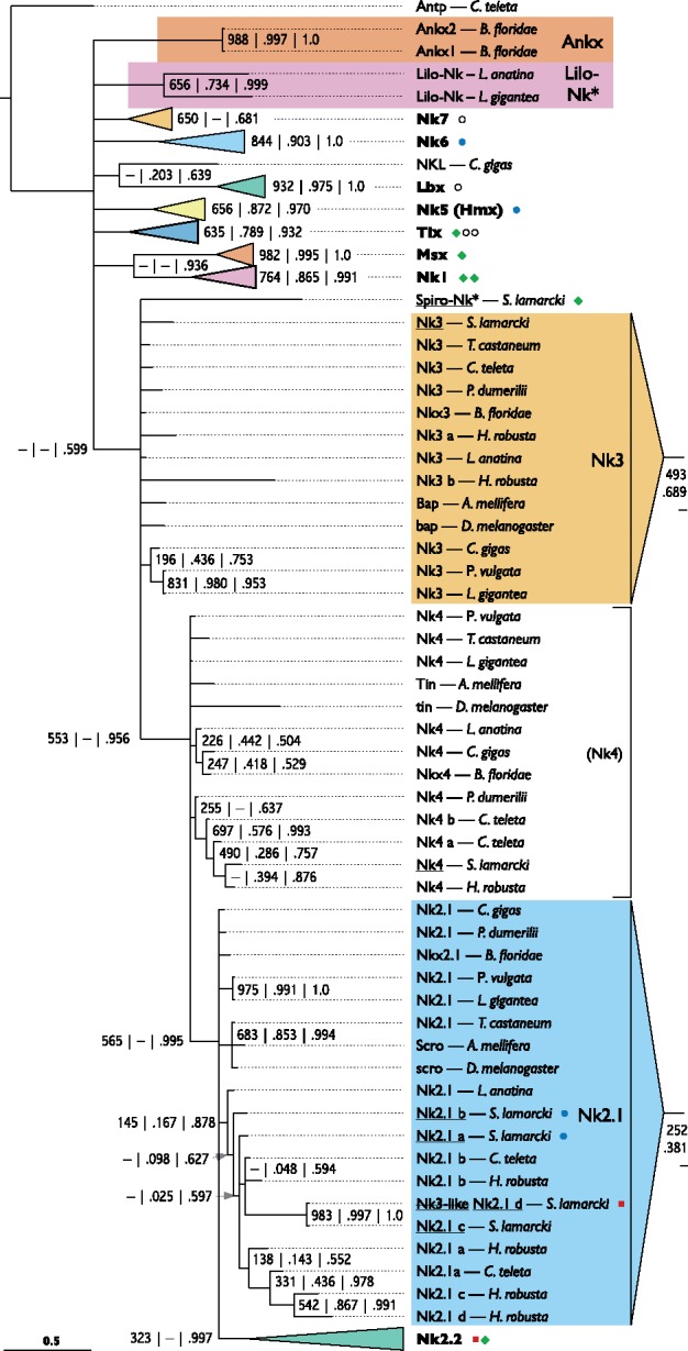 Fig. 7.