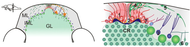 Figure 5.