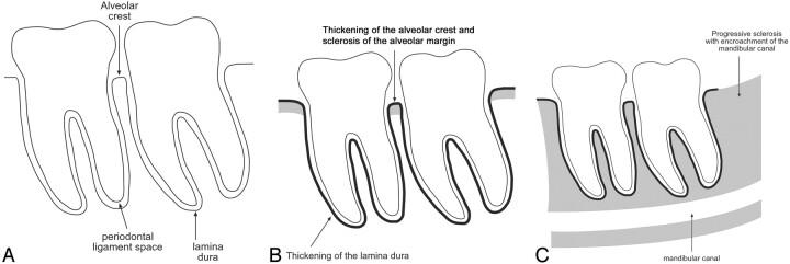 Fig 1.