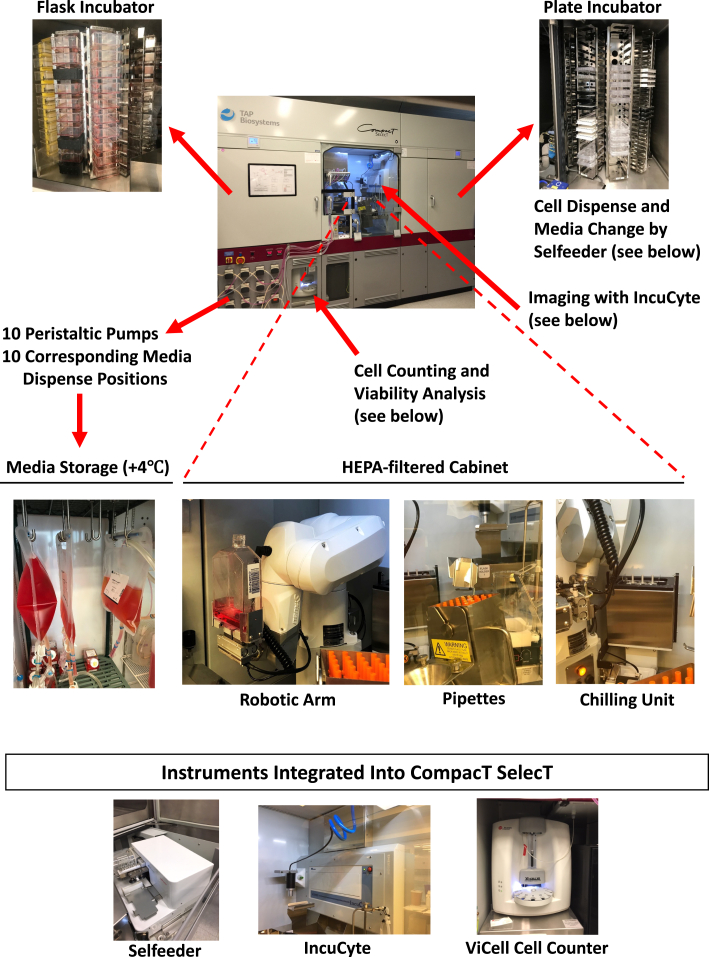 Figure 1