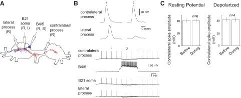 FIG. 3.