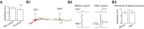 FIG. 7.