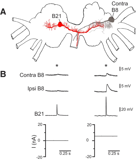 FIG. 5.