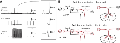 FIG. 8.