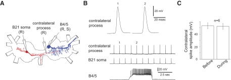 FIG. 4.