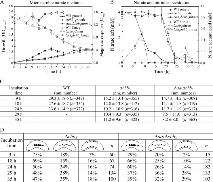 FIG 3