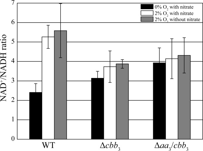 FIG 7