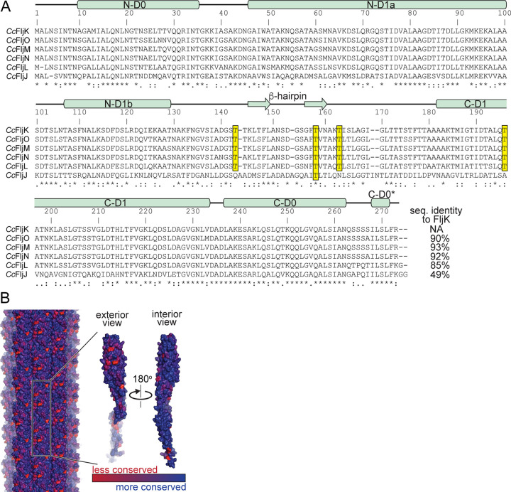 FIG 8