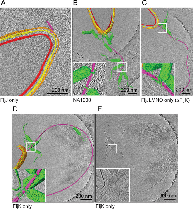 FIG 4