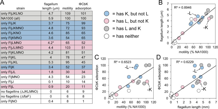 FIG 3