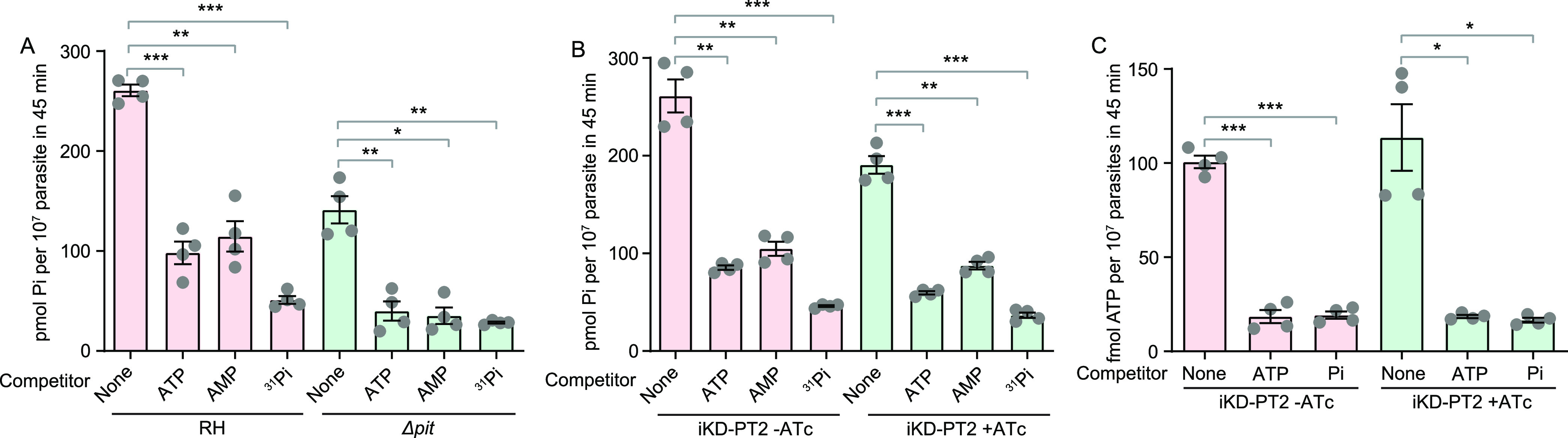 FIG 6