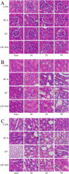 Fig. 4