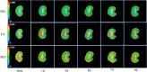 Fig. 2