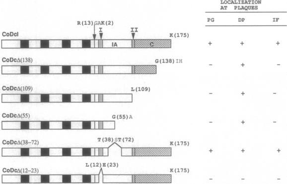 graphic file with name pnas01145-0042-a.jpg