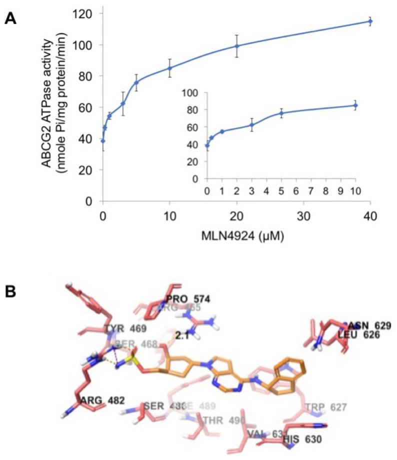 Figure 6