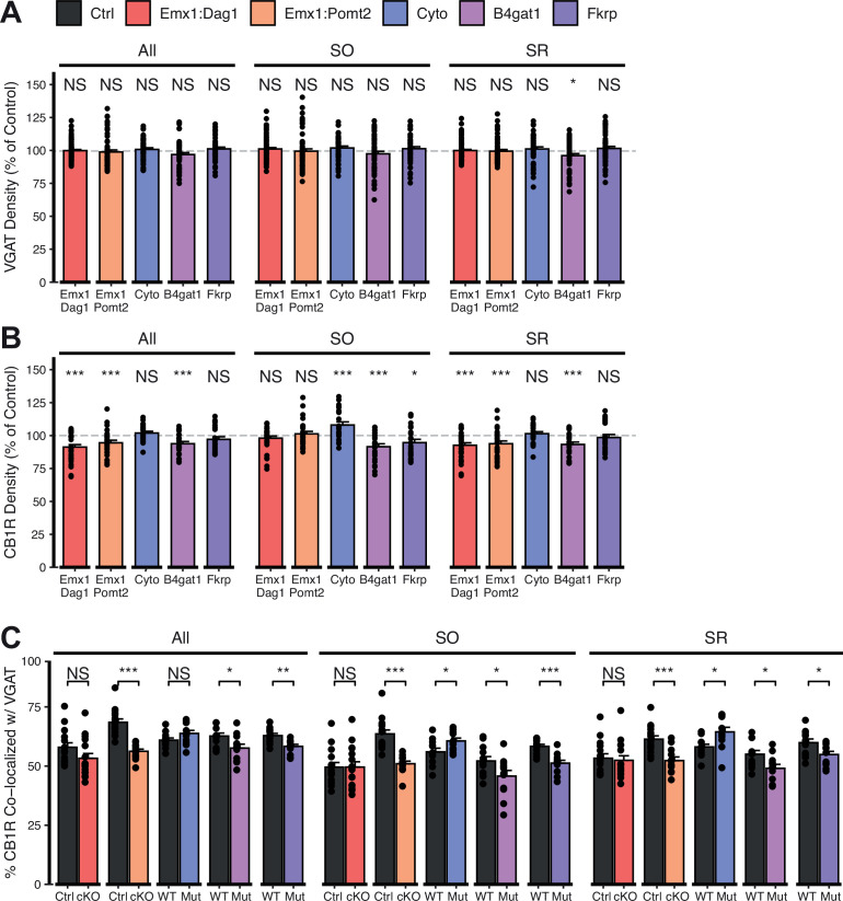 Figure 5—figure supplement 1.