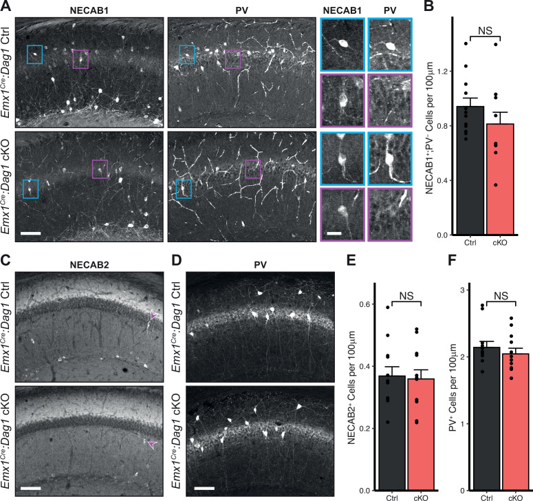 Figure 3—figure supplement 2.