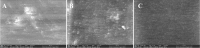 Fig. 8