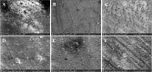 Fig. 6