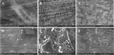 Fig. 7