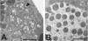 FIG. 6.