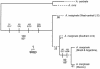 FIG. 7.