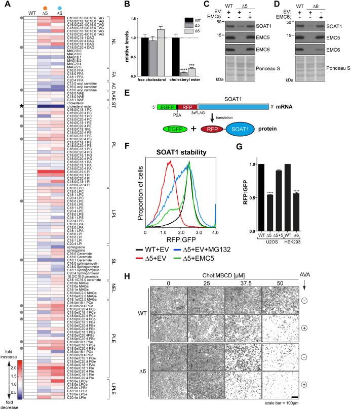 Fig. 4.