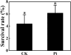 Figure 12