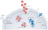 Fig. 2 |