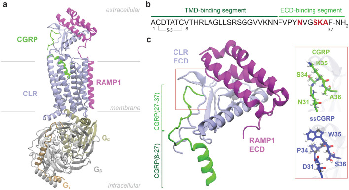 Figure 1: