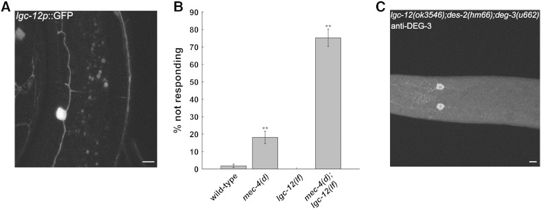 Fig. 3