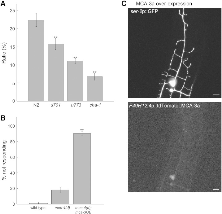 Fig. 7