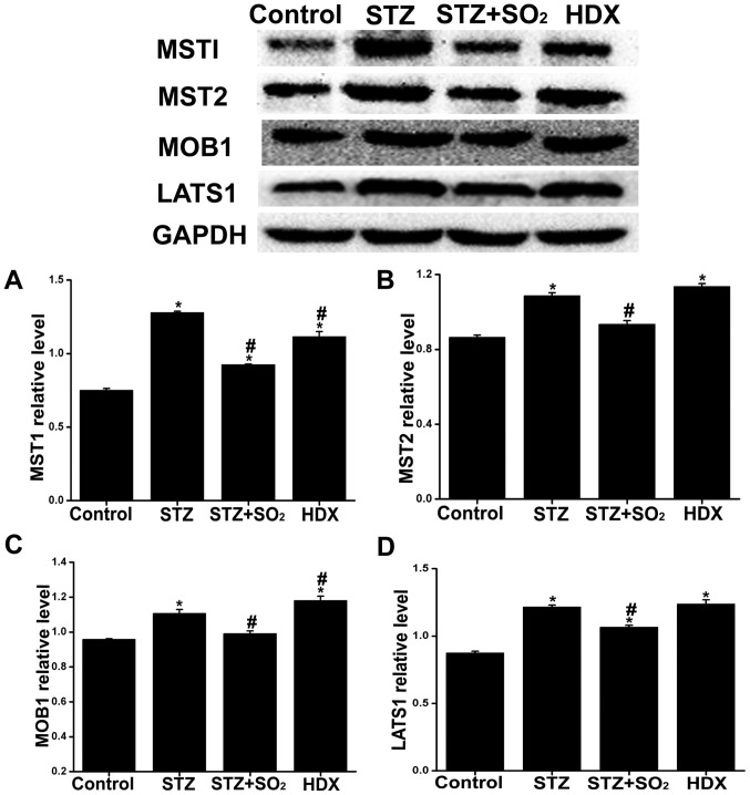 Figure 6.