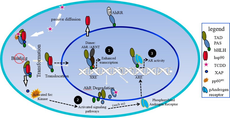 Figure 3: