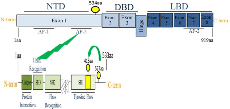 Figure 2: