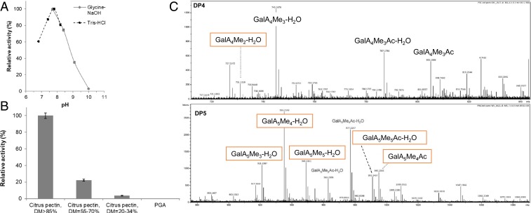 Fig. 4.