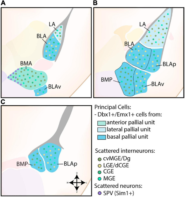 FIGURE 3