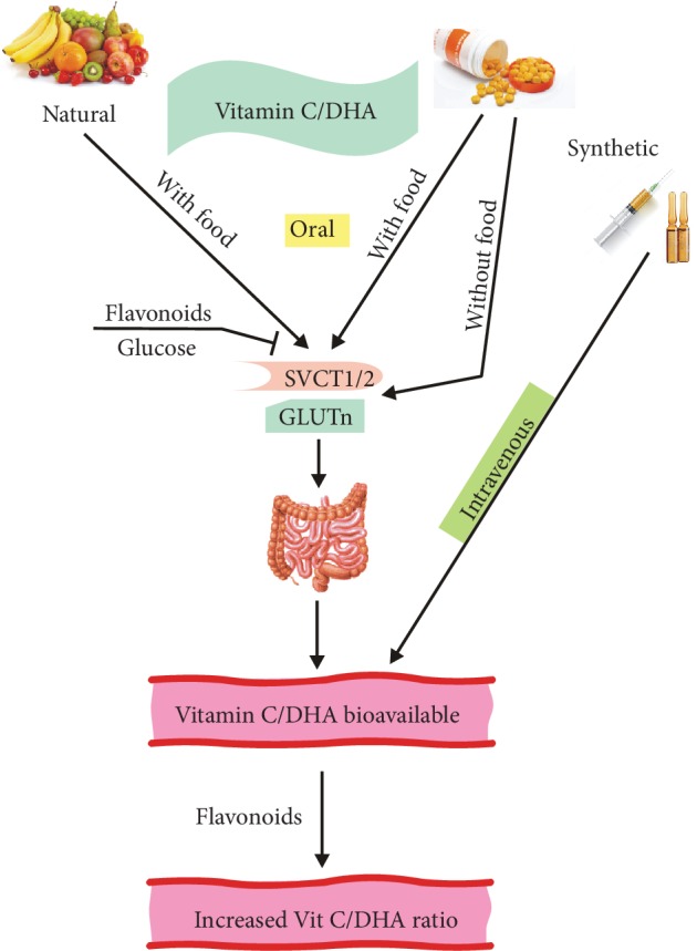 Figure 2