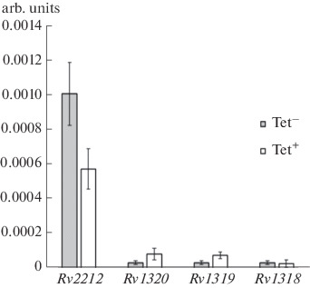 Fig. 3. 