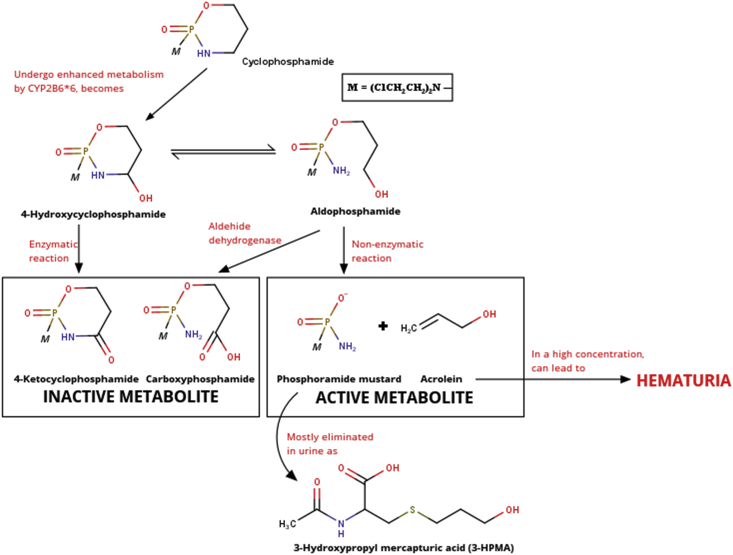 Figure 4