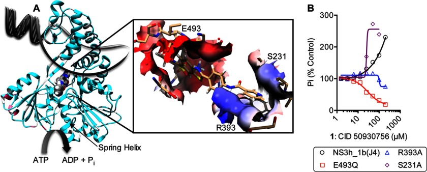 FIGURE 5.