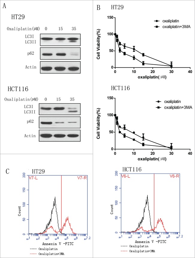 Figure 1 (See previous page).