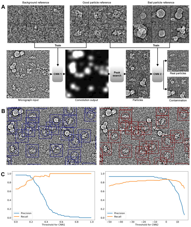 Figure 2.