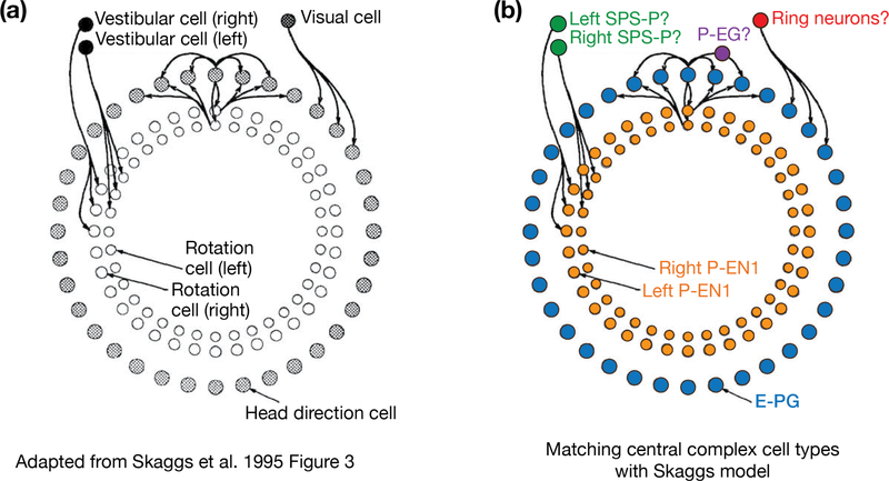 Figure 3 |