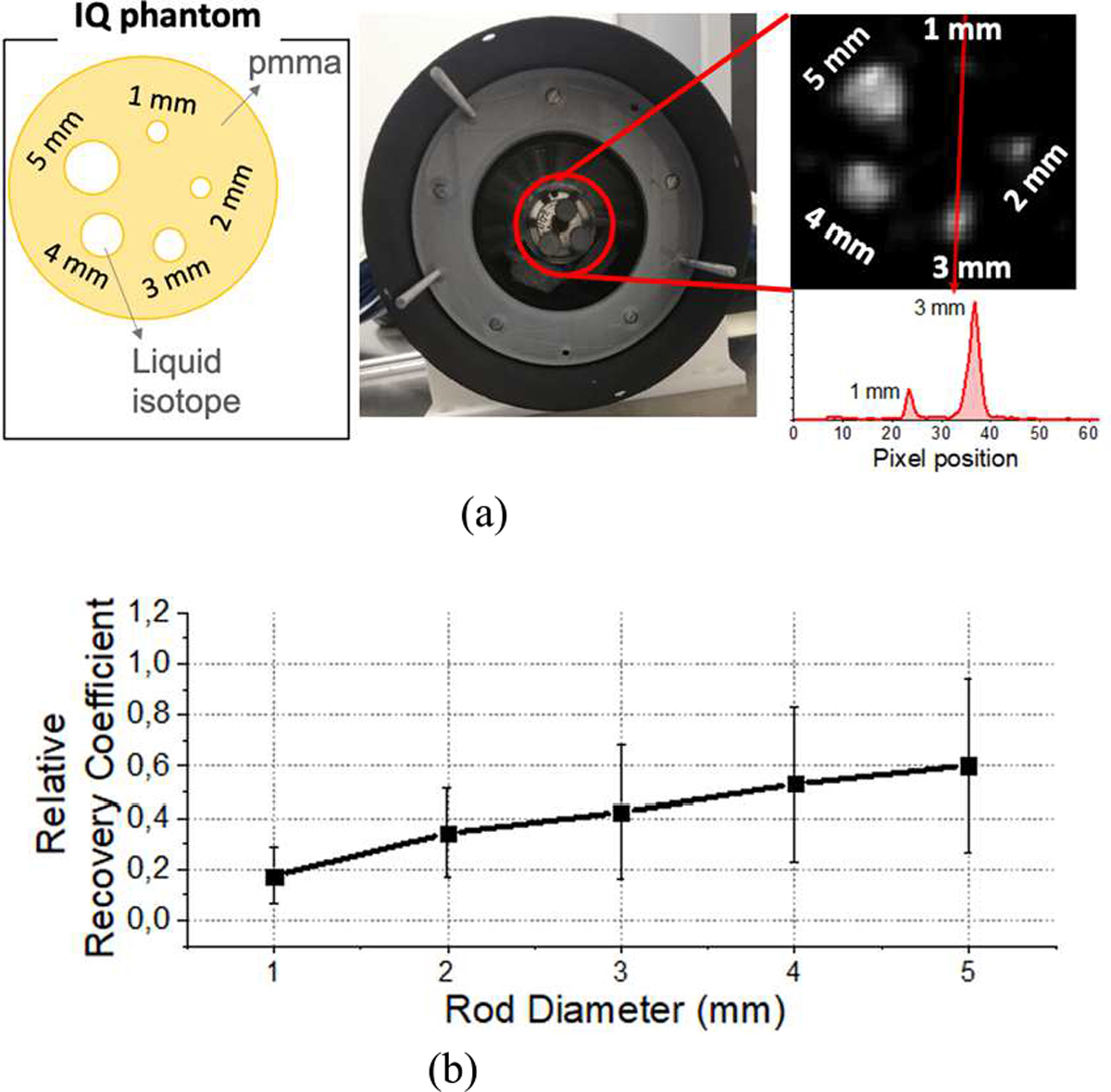 Fig. 12.