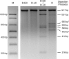 FIG. 7.