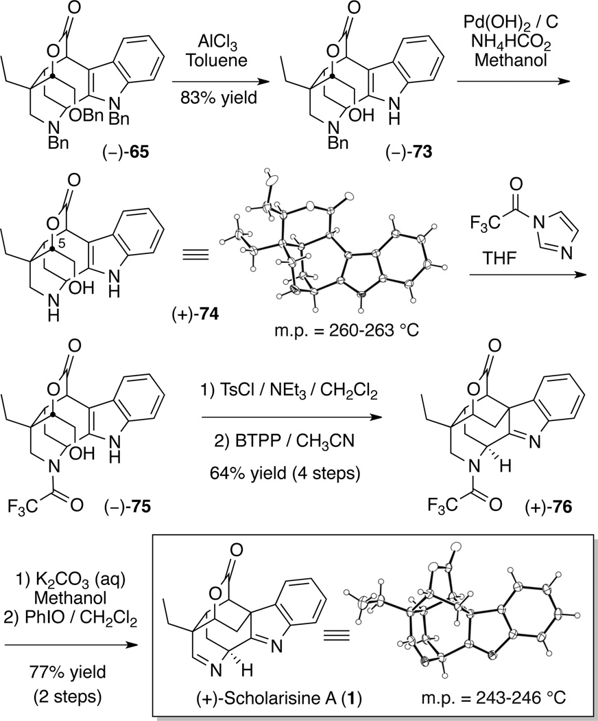 Scheme 13