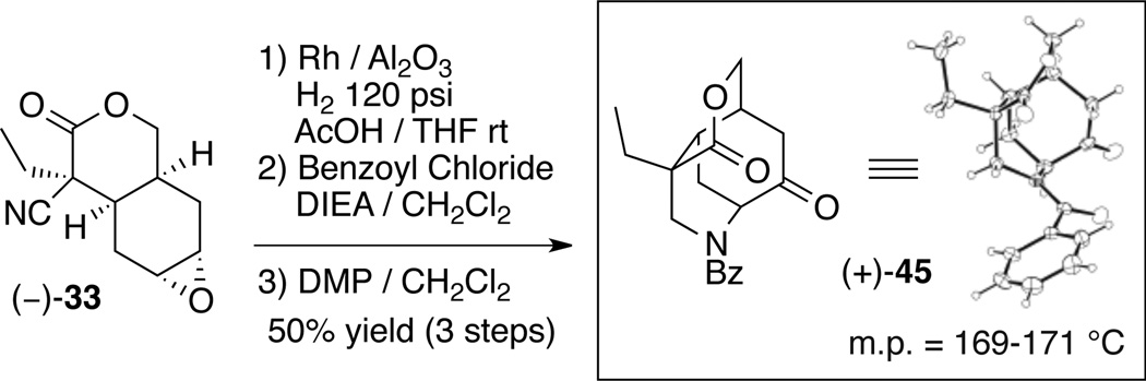 Scheme 4