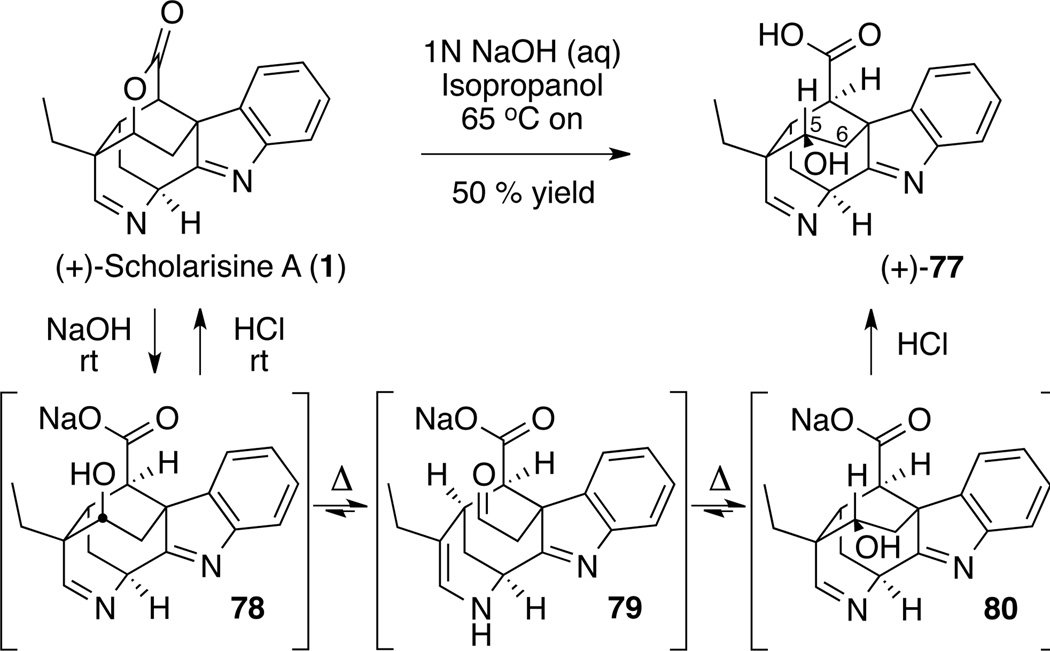 Scheme 14