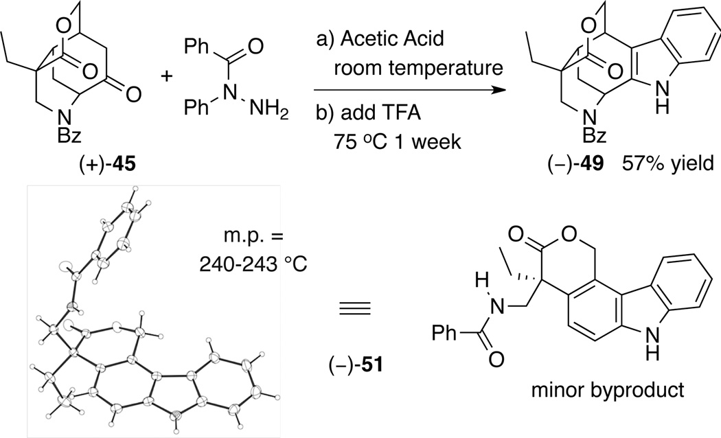 Scheme 6